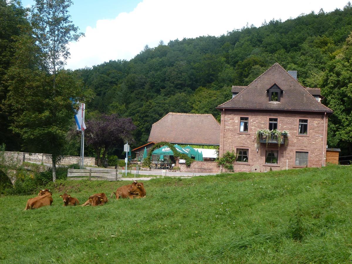Hotelgasthof Buchenmuehle Lohr Extérieur photo