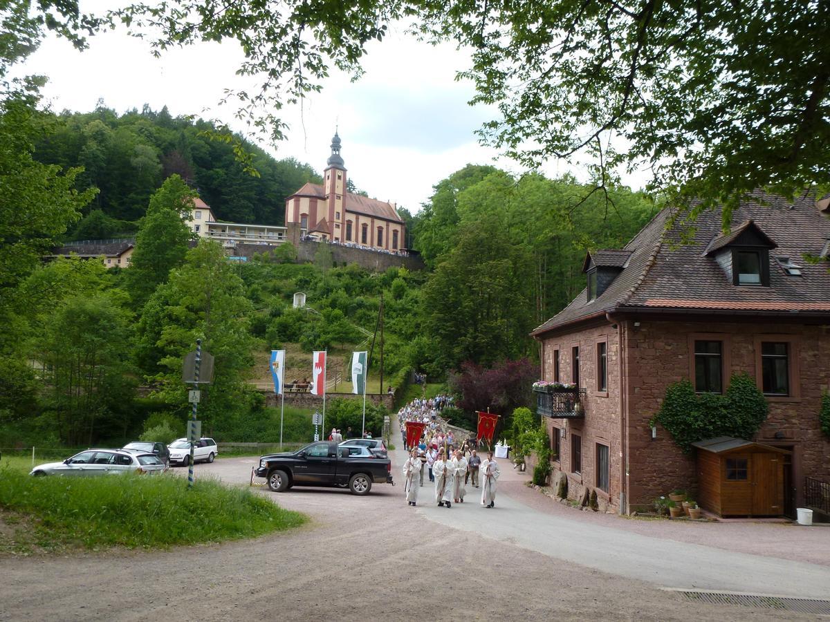 Hotelgasthof Buchenmuehle Lohr Extérieur photo